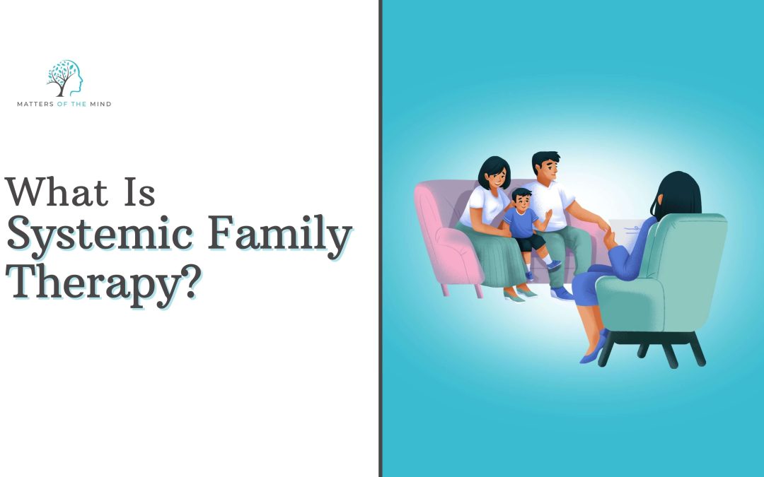 What Is Systemic Family Therapy
